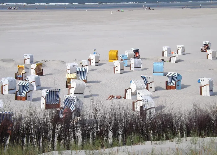 福瑞斯酒店 酒店